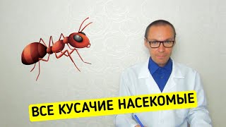 Справочник по ВСЕМ Опасным Кусачим Насекомым. Быстрое Лечение Укусов