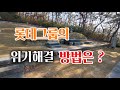 신격호 회장 부모산소답산