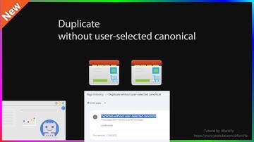 Duplicate without user-selected canonical - Search Console Page Indexing Report