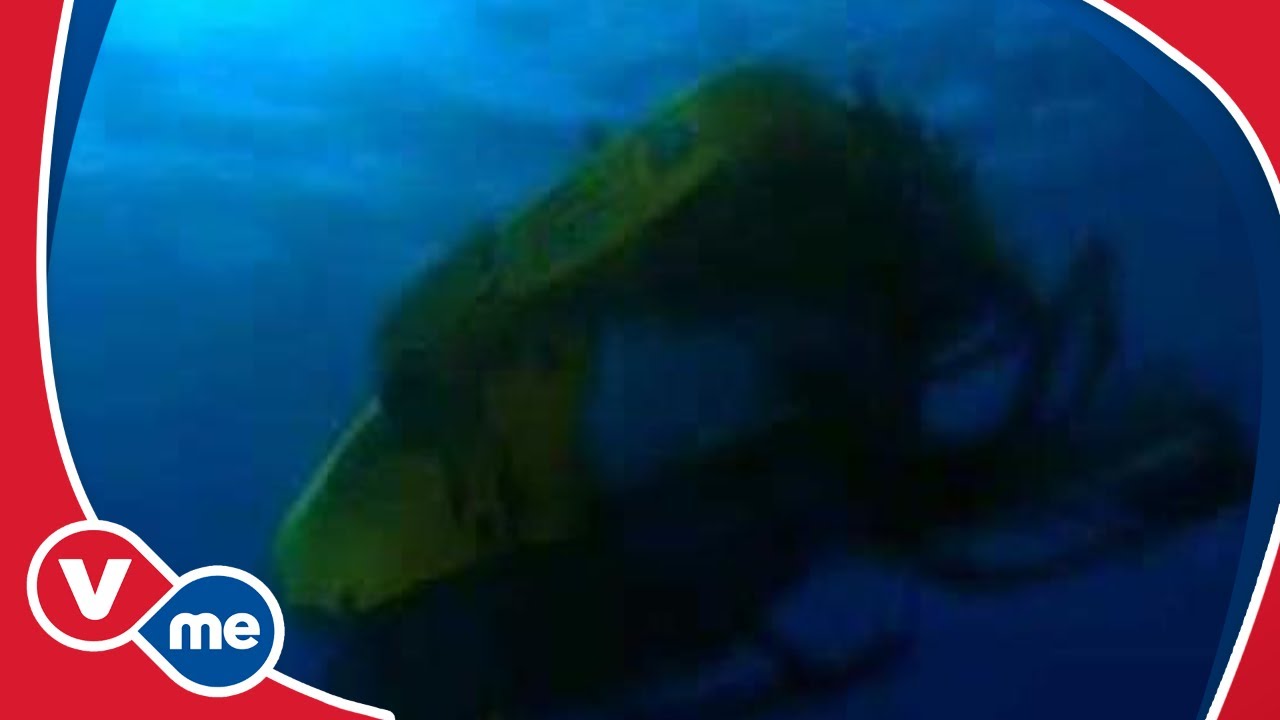 Naturaleza en V-me TV | VME TV