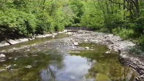 Euclid Creek