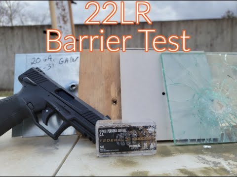 Simulated FBI Barrier Test: Federal Punch 22LR