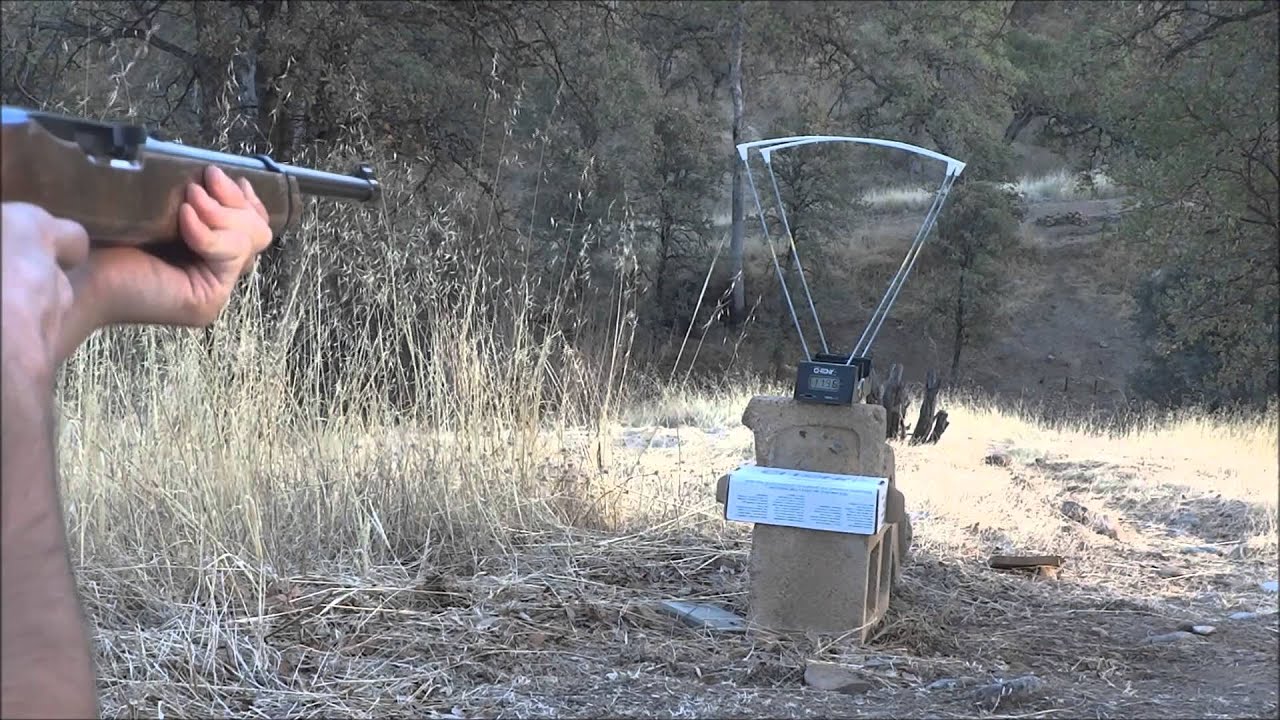 .22LR CCI standard velocity chronograph test - YouTube