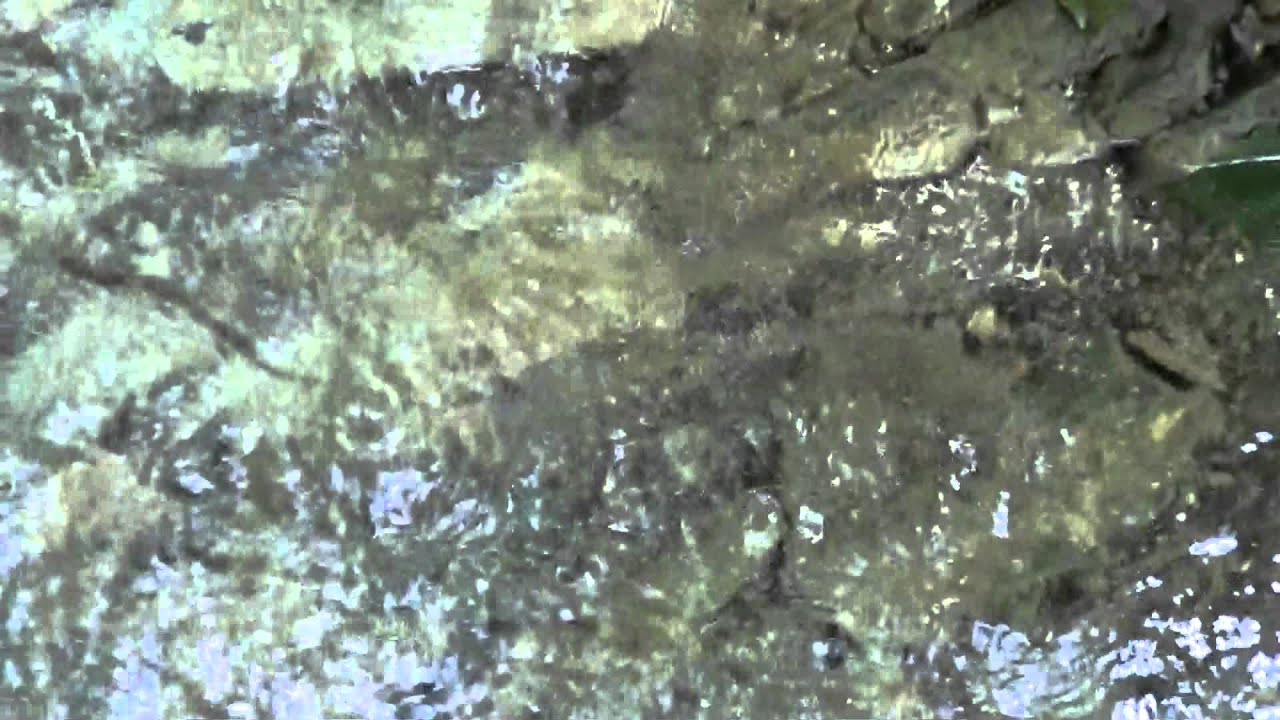 Bottle Cap Race - Episode II