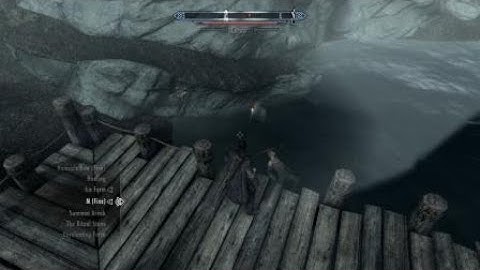Skyrim - Freezing Glitch