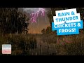 [DEEP SLEEP] Rain and Thunder   Frogs Crickets and Owls Sounds (Black Screen - 8 Hrs) Swamp Ambience