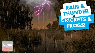 [DEEP SLEEP] Rain and Thunder + Frogs Crickets and Owls Sounds (Black Screen  8 Hrs) Swamp Ambience