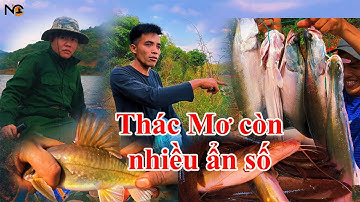 Khám phá điểm câu mới đập thủy điện Thác Mơ nhiều bí ẩn