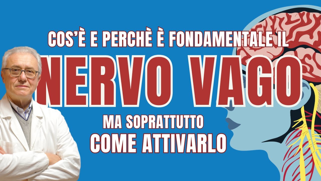 Il NERVO VAGO: cos’è, perché è fondamentale e COME ATTIVARLO!