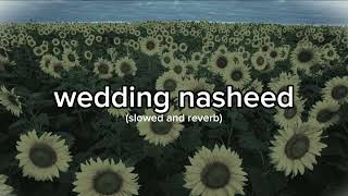 Download Lagu wedding nasheed (slowed+reverb)|| weeding nasheed MP3 Download Lagu wedding nasheed (slowed+reverb)|| weeding nasheed MP3