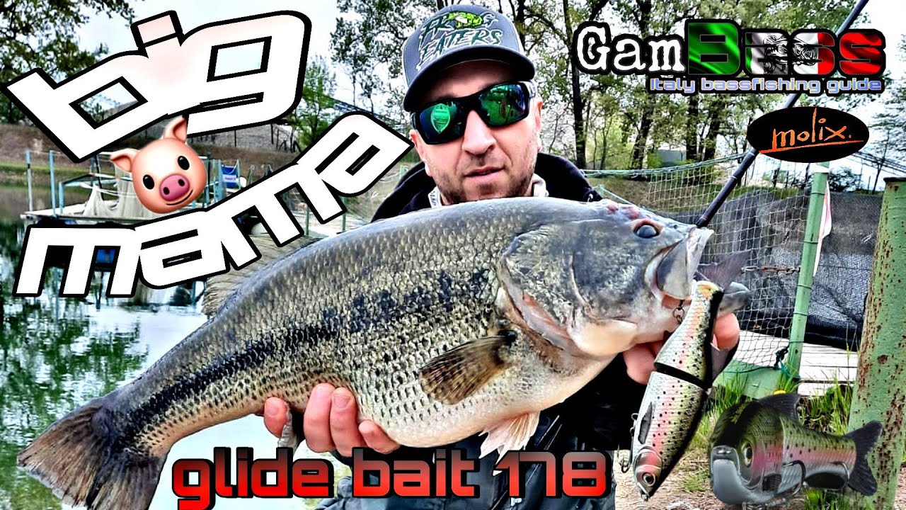 Monster bass- molix glide bait 178