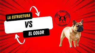 La estructura Vs el color