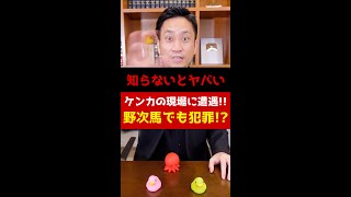 知らないとヤバい！ケンカの現場に遭遇！野次馬でも犯罪になる！？#Shorts