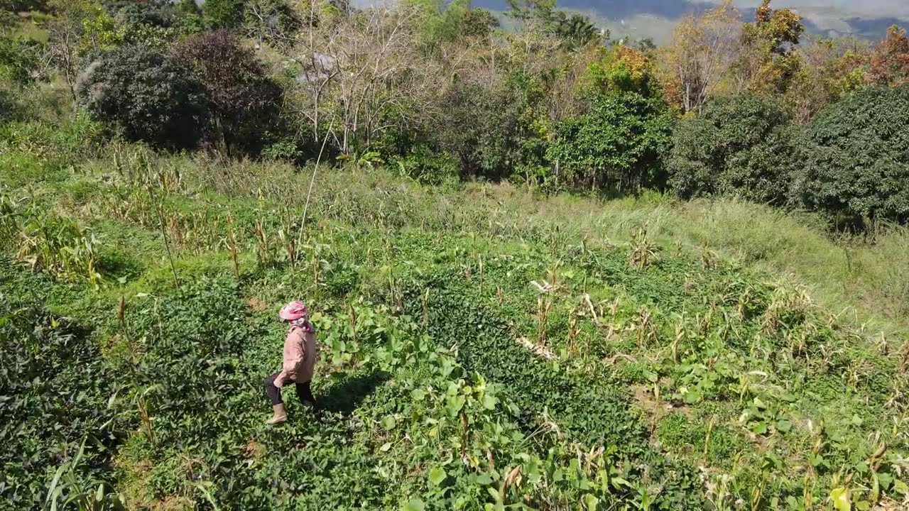 DON'T FLY YOUR DRONE LIKE THIS!!! NEVER !!-DJI MAVIC 2