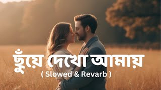 Chuye Dekho Amay । (ছুঁয়ে দেখো আমায়)। Slowed + Reverb। Tanveer Evan | Mir Fazly Rabby