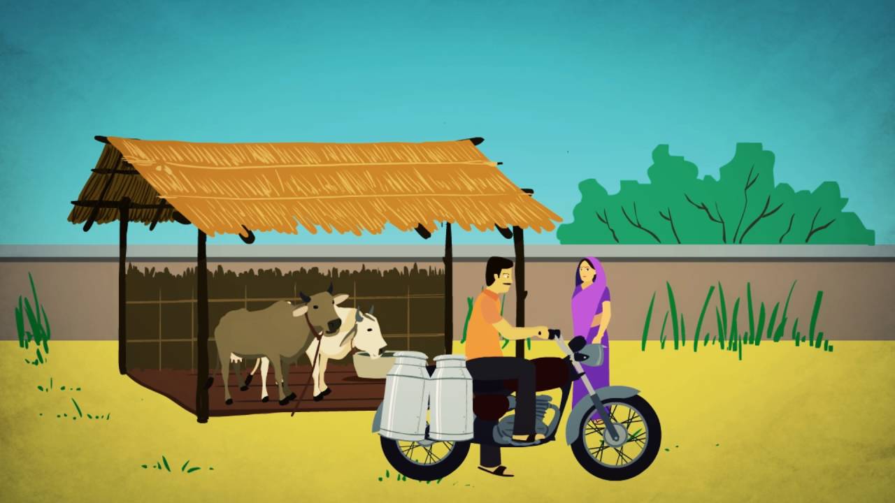 Dairy Cooperative Society Farmer Education video | Dreamfoot - YouTube