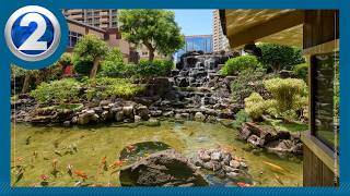 Honolulu's Pagoda Hotel gets a fresh new look