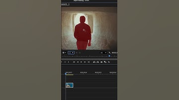 How to use Automatic Object Mask tool in Adobe Premiere Pro