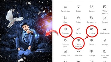 Snapseed Bird Effect Photo editing 🕊️ Background Colour Change Tutorial Face White 🐻‍❄️ Combination