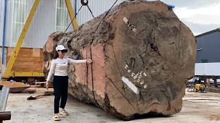 Cutting Into a 1000-Year-Old Ancient Tree... What I Found Inside is SHOCKING!