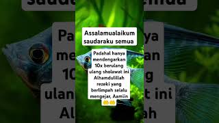 Sholawat Viral pembukapinturezeki penarikrezeki fyp sholawat trending  shorts