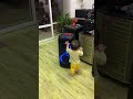 Bé tí mà đã yêu nhạc rồiii