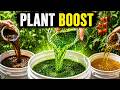 5 Natural Fertilizers That Revive Dying Plants (Fast Results!)