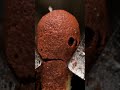 Macro IG Video: Cutting Off Match Head π₯