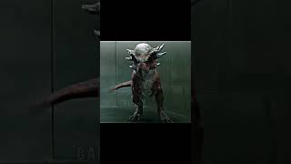 Tipos De Dinossauros - Parte 36