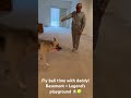 Legend and daddy playing fly ball in the basement 🐶🎾💙 #legendfamily2525#puppy@legendfamily25