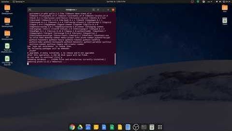 Installing Text Editor Pluma | Debian