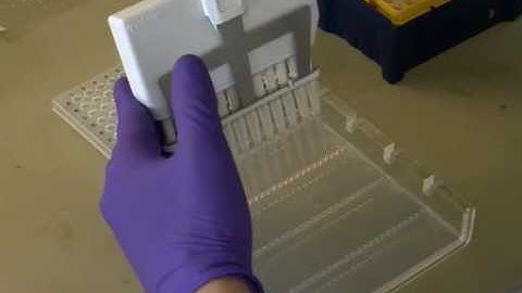 High-throughput Gene Tagging in Trypanosoma brucei