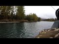 Upper Kenai River Trout Fishing Alaska - 10/2/2021