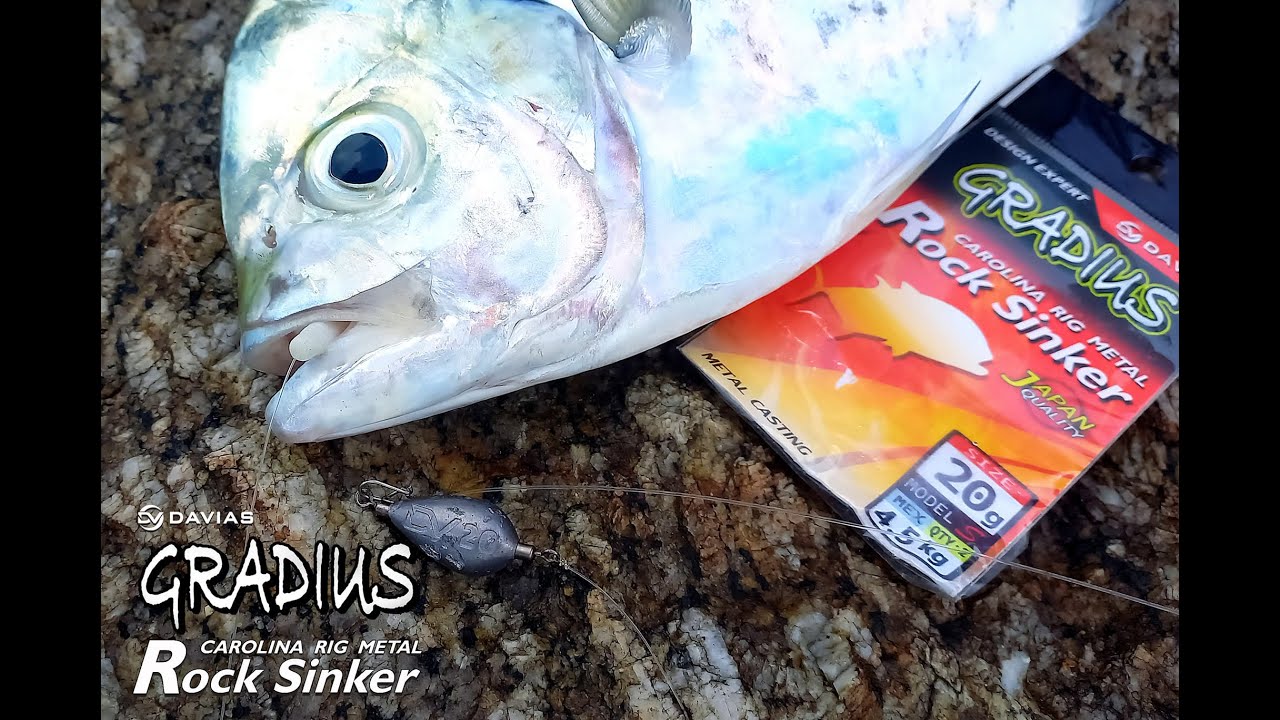 ตะกั่วตกแคโรไลน่า ริก ออกแบบมาโดยเฉพาะจากแบรนด์ DAVIAS