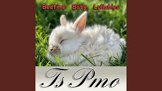 Ts Pmo