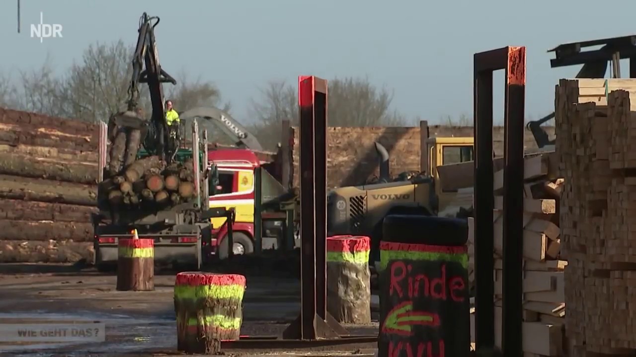 New Update Holzverarbeitung: Vom Baum zum Brett