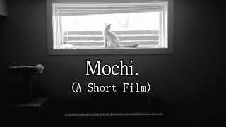 Mochi. (A Short Film)