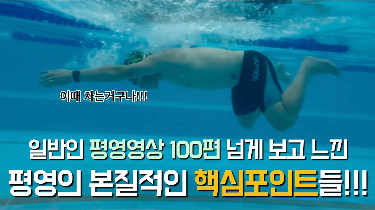 많은 평영을 보면서 느낀 평영에서 제일 중요한 핵심포인트들!!!(꿀팁 싹 담았습니다!)
