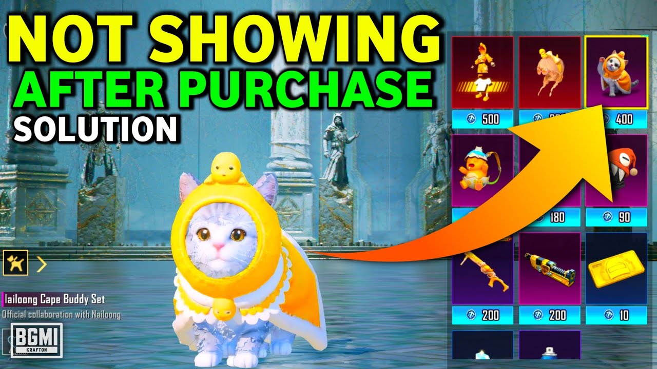 Cat Companion Not Showing After Purchase Lucky Spin in BGMI | Kitten Companion Kyu Nahi Dikh Raha