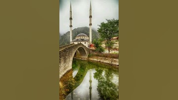 قراءة سورة الضحى بصوت الشيخ ياسر الدوسري