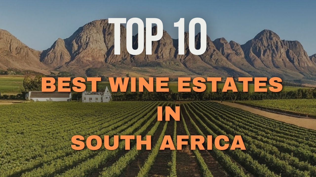 Top 10 Best Wine Estates in South Africa | Award-Winning &amp; World-Class
