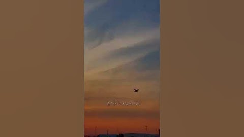 من أجمل التلاوات🎧🌹 للشيخ((عبد الباسط عبد الصمد)) ❤️في قمة الخشوع.