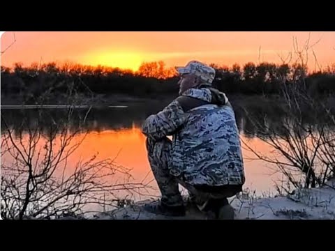 Видео: ДВЕ НОЧИ РЫБАЛКИ НА ПЕСЧАННОМ ОСТРОВЕ .РЕКА СЫРДАРЬЯ .14.04.2024