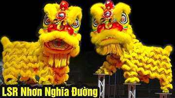 Múa Lân Hay Nhất 2023 LSR Nhơn Nghĩa Đường tập Múa Lân nhảy Mai Hoa Thung thi giải Lân Sư Rồng