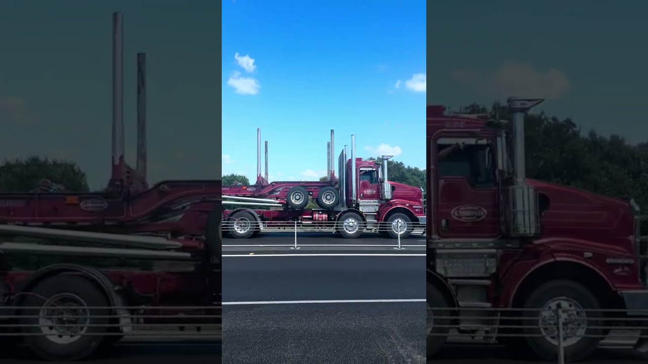 Napier airport spotting 