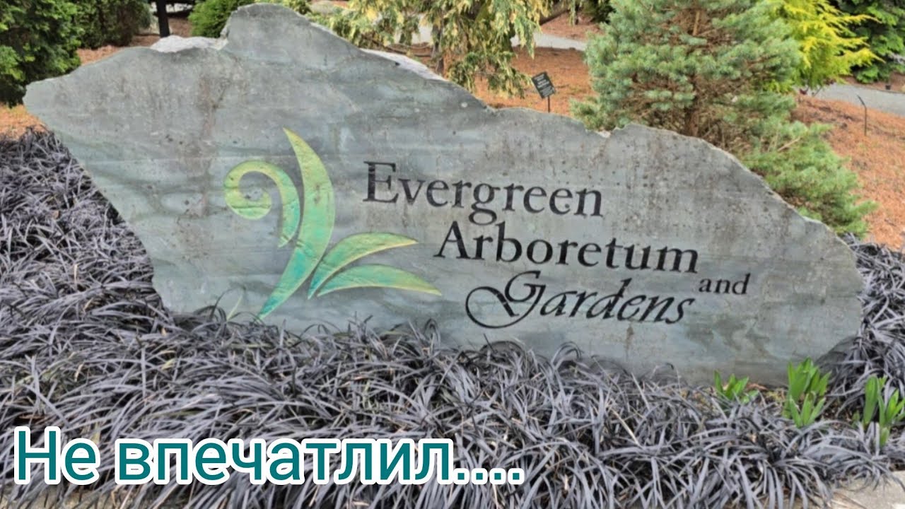 ВЕЧНО ЗЕЛЕНЫЙ ДРЕНДРАРИЙ / И тут я первый раз 🤔