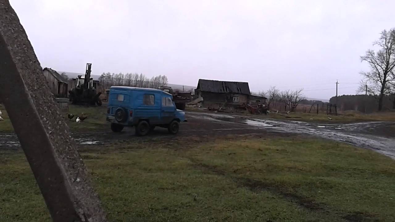 Луаз в тайге