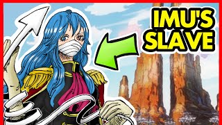 Gunko's SECRET Title Was Lost in Translation! (One Piece 1160)