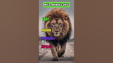 Only an Animal lover can name all these Wild Animals!!🐶 #shorts #quiz #trivia
