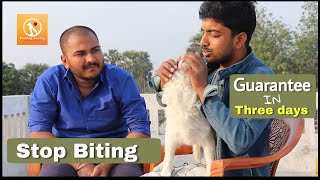 My last video on : How to stop PUPPY BITING  by Pomtoy anurag #puppybite